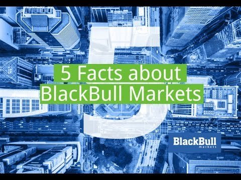 BlackBull Markets Broker Bewertung